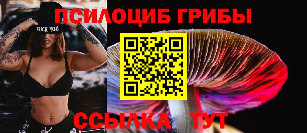 Псилоцибиновые грибы Psilocybine cubensis  Вход с VPN  Новокуйбышевск 